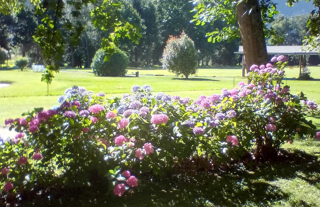 GreenClub-Golf-Golf-Les-Coullaux-Chessel-1