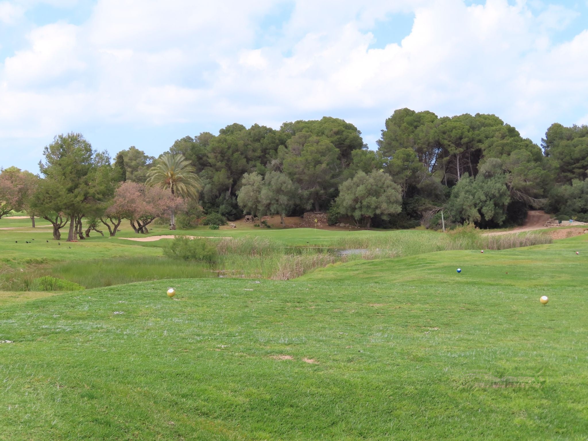 GreenClub-Golf-Golf-Son-Parc-Menorca-Spain-1