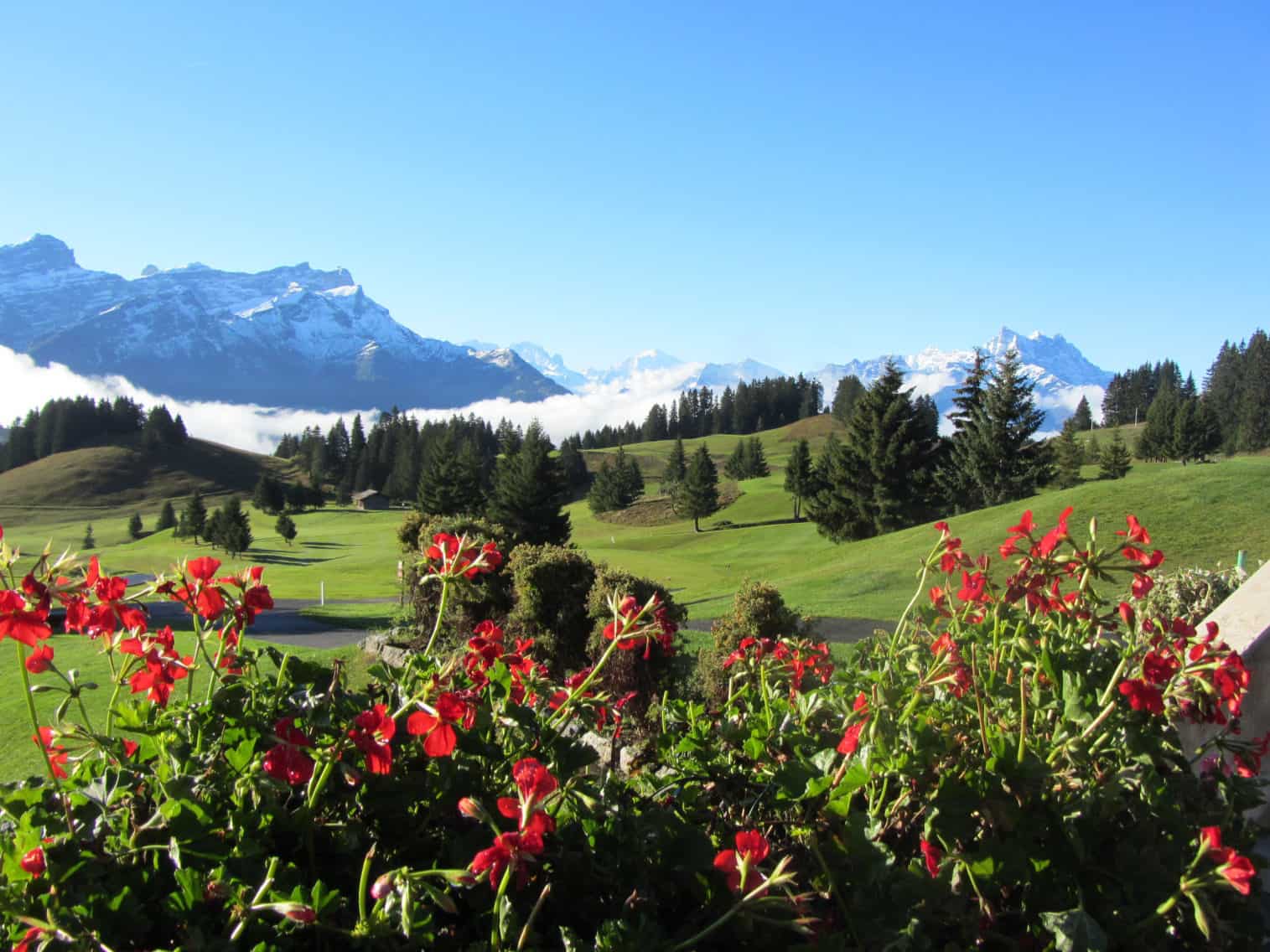 GreenClubGolf-Card-Suisse-Golf-Club-Villars-Suisse-3