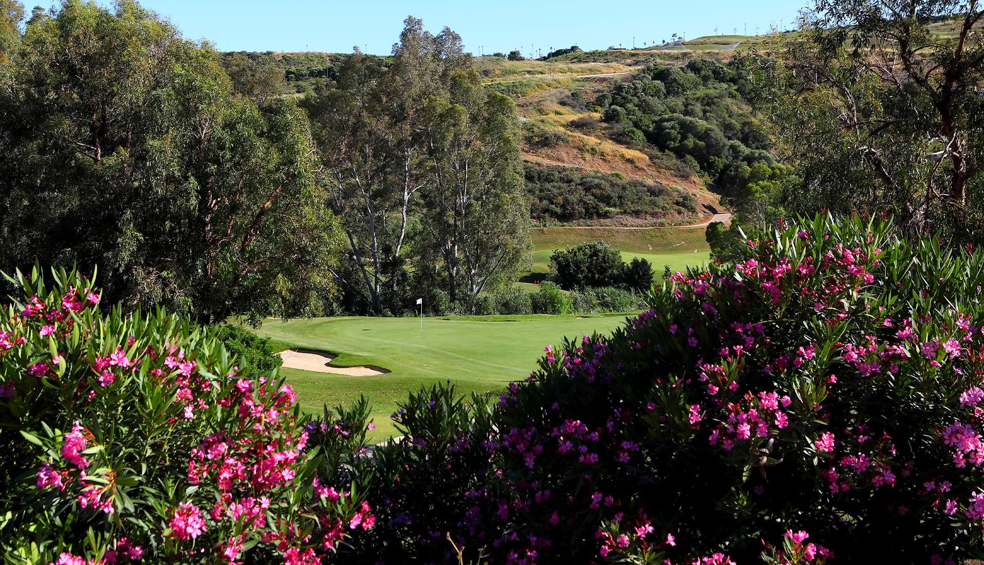 Greenclubgolf-Card-Suisse-Valle-Romano-Golf-Espagne-5